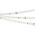 Лента IC 2-30000 24V Cool 8K 10mm (2835, 60 LED/m, LUX) (Arlight, 4.6 Вт/м, IP20)