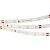Лента RT 2-5000 24V Day5000 (2835, 300 LED, CRI98) (Arlight, 7.2 Вт/м, IP20)