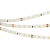 Лента RT 2-5000 24V Day5000 1.6x (2835, 490 LED, CRI98) (Arlight, 10 Вт/м, IP20)