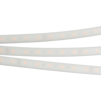 Лента RTW 2-5000PW 12V White6000 2x (5060, 300 LED, LUX) (Arlight, 14.4 Вт/м, IP66)
