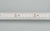 Лента RT 2-5000 24V White6000 2x (3528, 600 LED, LUX) (Arlight, 9.6 Вт/м, IP20)