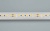 Лента RT 6-5050-96 24V Day4000 3x (480 LED) (Arlight, 23 Вт/м, IP20)