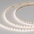 Светодиодная лента MICROLED-M120-3.5mm 12V Day5000 (8.3 W/m, IP20, 2216, 3m) (Arlight, узкая) Светодиодная лента MICROLED-M120-3.5mm 12V Day5000 (8.3 W/m, IP20, 2216, 3m) (Arlight, узкая)
