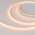 Светодиодная лента MICROLED-M120-4mm 24V Warm2700 (5.4 W/m, IP20, 2216, 5m) (Arlight, узкая) Светодиодная лента MICROLED-M120-4mm 24V Warm2700 (5.4 W/m, IP20, 2216, 5m) (Arlight, узкая)