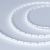 Светодиодная лента MICROLED-5000 24V Cool 8K 4mm (2216, 120 LED/m, LUX) (Arlight, 9.6 Вт/м, IP20) Светодиодная лента MICROLED-5000 24V Cool 8K 4mm (2216, 120 LED/m, LUX) (Arlight, 9.6 Вт/м, IP20)