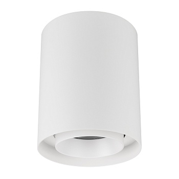 Светильник SP-FOCUS-R132-24W Day4000 (WH, 36 deg, 230V) (Arlight, IP54 Металл, 5 лет)