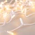 Светодиодная гирлянда ARD-STRING-CLASSIC-10000-WHITE-100LED-MILK-FLASH Warm (230V, 7W) (Ardecoled, IP65) Светодиодная гирлянда ARD-STRING-CLASSIC-10000-WHITE-100LED-MILK-FLASH Warm (230V, 7W) (Ardecoled, IP65)