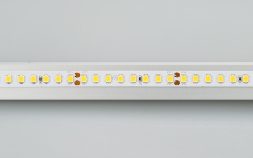 Лента RT 2-5000-50m 24V Day4000 2x (2835, 160 LED/m, LUX) (Arlight, 12 Вт/м, IP20)