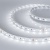 Лента RT-B60-10mm 24V White6000 (14.4 W/m, IP20, 5060, 5m) (Arlight, 14.4 Вт/м, IP20) Лента RT-B60-10mm 24V White6000 (14.4 W/m, IP20, 5060, 5m) (Arlight, 14.4 Вт/м, IP20)