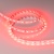 Лента RT-B60-10mm 24V Red (14.4 W/m, IP20, 5060, 5m) (Arlight, Открытый) Лента RT-B60-10mm 24V Red (14.4 W/m, IP20, 5060, 5m) (Arlight, Открытый)