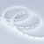 Лента MICROLED-5000 24V Cool 8K 4mm (2216, 120 LED/m, LUX) (Arlight, 9.6 Вт/м, IP20) Лента MICROLED-5000 24V Cool 8K 4mm (2216, 120 LED/m, LUX) (Arlight, 9.6 Вт/м, IP20)