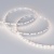 Лента MICROLED-5000 24V Day4000 4mm (2216, 120 LED/m, LUX) (Arlight, 9.6 Вт/м, IP20) Лента MICROLED-5000 24V Day4000 4mm (2216, 120 LED/m, LUX) (Arlight, 9.6 Вт/м, IP20)