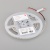 Лента RT-A80-5mm 24V White6000 (5 W/m, IP20, 2835, 5m) (Arlight, Открытый) Лента RT-A80-5mm 24V White6000 (5 W/m, IP20, 2835, 5m) (Arlight, Открытый)