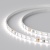 Лента RT 2-5000 24V White6000 5mm 2x (3528, 600 LED, LUX) (Arlight, 9.6 Вт/м, IP20) Лента RT 2-5000 24V White6000 5mm 2x (3528, 600 LED, LUX) (Arlight, 9.6 Вт/м, IP20)