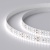 Лента RT 2-5000 24V White6000 2x2 (3528, 1200 LED, LUX) (Arlight, 19.2 Вт/м, IP20) Лента RT 2-5000 24V White6000 2x2 (3528, 1200 LED, LUX) (Arlight, 19.2 Вт/м, IP20)