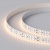 Лента RT 2-5000 24V Warm3000 2x2 (3528, 1200 LED, LUX) (Arlight, 19.2 Вт/м, IP20) Лента RT 2-5000 24V Warm3000 2x2 (3528, 1200 LED, LUX) (Arlight, 19.2 Вт/м, IP20)