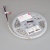 Лента RT-B60-10mm 24V RGBW-White (14.4 W/m, IP20, 5m) (Arlight, Открытый)