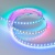 Лента SPI-B96-10mm 12V RGB-PX1-BPT (13 W/m, IP20, 5060, 5m) (Arlight, Открытый) Лента SPI-B96-10mm 12V RGB-PX1-BPT (13 W/m, IP20, 5060, 5m) (Arlight, Открытый)
