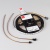 Светодиодная лента SPI-H84-8mm 24V RGBW-Warm-PX6 (22 W/m, IP20, 4040, 5m) (Arlight, -) Светодиодная лента SPI-H84-8mm 24V RGBW-Warm-PX6 (22 W/m, IP20, 4040, 5m) (Arlight, -)