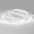 Лента герметичная ARL-PV-B54-15.5mm 230V White6000 (8 W/m, IP65, 5060, 50m) (Arlight, 8 Вт/м, IP65) Лента герметичная ARL-PV-B54-15.5mm 230V White6000 (8 W/m, IP65, 5060, 50m) (Arlight, 8 Вт/м, IP65)