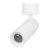 Светильник SP-ARTEMIS-SURFACE-FLAP-R55-12W Warm2700 (WH, 8-80 deg, 230V) (Arlight, IP20 Металл, 5 лет)