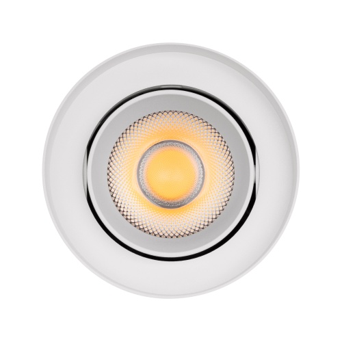Светильник SP-FOCUS-R110-18W Day4000 (WH, 36 deg, 230V) (Arlight, IP54 Металл, 5 лет)