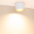 Светильник SP-BISCOTTO-R120-12W Warm3300-MIX (WH-GD, 80 deg, 230V) (Arlight, IP54 Металл, 5 лет)