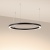 Светильник SP-CIRCLE-HANG-O3535-D900-50W Warm3000 (RAL9005, 120 deg, 230V) IP40 LED (Arlight, Алюминий) Светильник SP-CIRCLE-HANG-O3535-D900-50W Warm3000 (RAL9005, 120 deg, 230V) IP40 LED (Arlight, Алюминий)