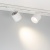 Светильник LGD-DYKE-4TR-R100-36W Day4000 (WH, 50 deg, 230V) (Arlight, IP20 Металл, 5 лет) Светильник LGD-DYKE-4TR-R100-36W Day4000 (WH, 50 deg, 230V) (Arlight, IP20 Металл, 5 лет)