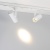Насадка с фиксированным углом LGD-ARTIFACT-LENS-R65 (WH, 10 deg) (Arlight, Металл) Насадка с фиксированным углом LGD-ARTIFACT-LENS-R65 (WH, 10 deg) (Arlight, Металл)