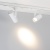 Насадка с фиксированным углом LGD-ARTIFACT-LENS-R65 (WH, 15 deg) (Arlight, Металл) Насадка с фиксированным углом LGD-ARTIFACT-LENS-R65 (WH, 15 deg) (Arlight, Металл)