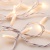 Светодиодная гирлянда ARD-STRING-PRO-10000-WHITE-100LED-STD WARM (230V, 7W) (Ardecoled, IP65, 2 года) Светодиодная гирлянда ARD-STRING-PRO-10000-WHITE-100LED-STD WARM (230V, 7W) (Ardecoled, IP65, 2 года)