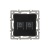 Механизм компьютерной розетки двойной SCT-MPC2-PL-BK (RJ-45, CAT6) (Arlight, -)