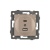 Механизм USB розетки SCT-MUAC-PL-GD-V (5V, 3A, QC4) (Arlight, -) Механизм USB розетки SCT-MUAC-PL-GD-V (5V, 3A, QC4) (Arlight, -)