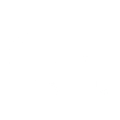 DISK-30 от Artpole