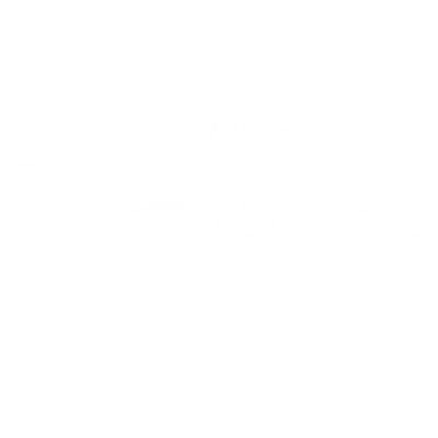 Розетка гладкая SRT5 от Artpole