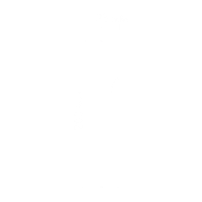 Фриз SF78