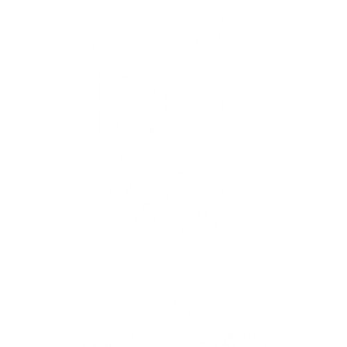 ECHO от Artpole