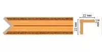 Цветной угол Decomaster 116M-1223 (22*22*2400)