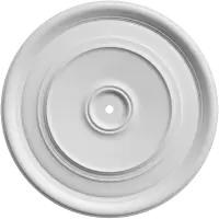 Розетка гладкая SRT36