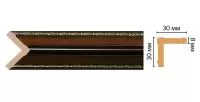 Цветной угол Decomaster 116-51 (30*30*2400)