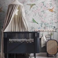 COLIBRI