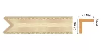 Цветной угол Decomaster 116M-5 (22*22*2400)