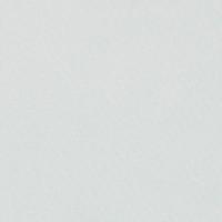 348 "Basic Linings" / 32 Gent Silver ткань
