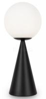 Настольная лампа декоративная Glow FR5289TL-01B