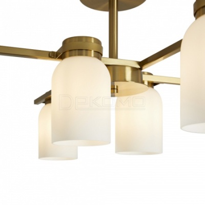Люстра на штанге Kamelia FR5446PL-06BS