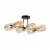 Люстра на штанге Glow FR5129PL-06B