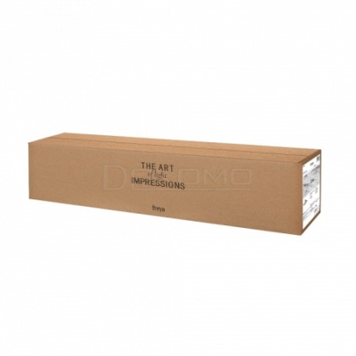 Люстра на штанге Glow FR5129PL-06B