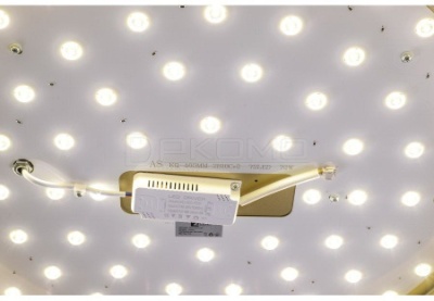 Накладной светильник Gabby ZRS.90610.50