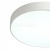 Накладной светильник Tortty ZRS.02564.48 Накладной светильник Tortty ZRS.02564.48